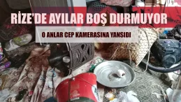 Ayılar Kale köyü ve Yaylalarında Evlere Zarar Verdi